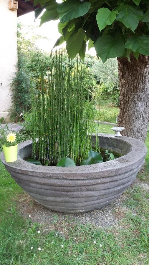 A Clair Matin Apartment Estang Bagian luar foto